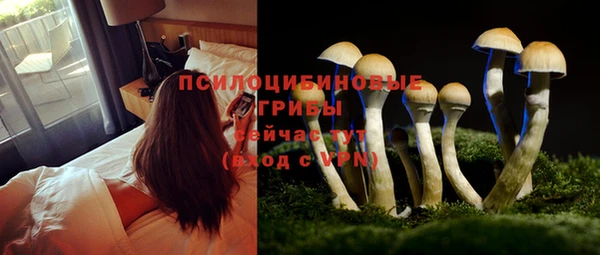 МДПВ Аркадак