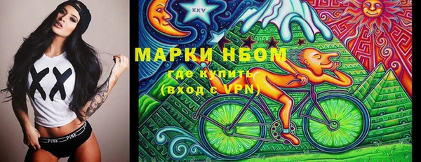 молекула духа Арсеньев