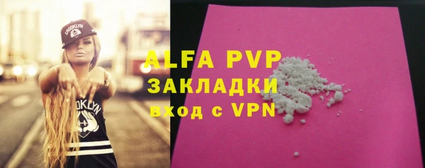 молекула духа Арсеньев