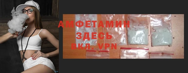 молекула духа Арсеньев