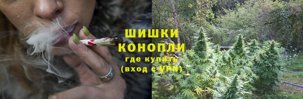 молекула духа Арсеньев