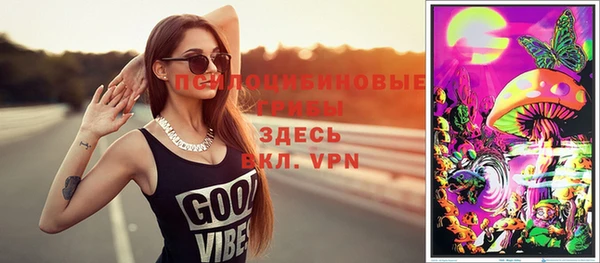 молекула духа Арсеньев
